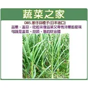 【蔬菜之家】D05.蔥仔蒜種子100顆(夏天種植，植株較細.日本進口韭蔥.韭蒜吃起來像韭菜又帶有洋蔥的甜味)蔥類