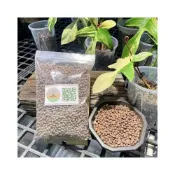 (店+)《斑啾植選》發泡煉石｜1公升裝｜陶粒｜鋪底石｜鋪面石｜多肉介質｜水耕｜礫耕｜魚菜共生