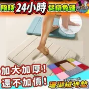 【台灣現貨12H出貨→免運+實測給你看】珊瑚絨地墊 浴室地墊 地毯腳踏墊廁所客廳臥室廚房地墊止滑墊記憶綿吸水地墊防滑地墊