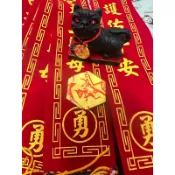 白沙屯媽祖 鎮殿虎爺 黑虎 擋煞避邪 附上金牌 過完爐出貨 媽祖加持保佑 山邊媽祖 大甲媽祖