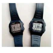 (店+)【CASIO 卡西歐】CASIO手錶專賣店 100米防水+鏡面貼膜 十年電池系列 當兵軍用必推款耐操好用 學生錶電子錶 運動游泳錶W-800H