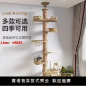 解憂雜貨鋪 【台灣公司 超低價】頂天立地貓爬架通天柱實木小戶型太空艙貓咪攀爬架一體diy多功能