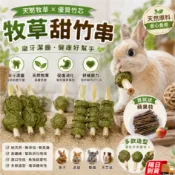 寵物磨牙串 三重牧草 甜竹 蘋果木 倉鼠玩具 寵物磨牙常備 倉鼠磨牙串 蘋果木咬串 兔子磨牙用品 QJ2745