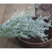 🌺花草遊戲🌺水晶草🌷情人草/卡斯比亞 拍攝道具 永生花 不凋花 婚禮diy💎花藝用品 花藝資材 花材  裝飾 插花 捧花