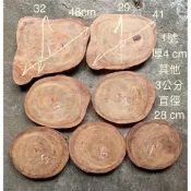 台灣櫸【紅雞油】頭部原木年輪木塊/隔熱墊、湯鍋墊/藝品盆景奇石陶藝擺設底座/置物架/木質墊片/雕刻裝飾用材