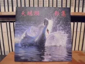 〈一字千金〉作者簽贈 / 郭謙義 - 天鵝湖影集 民國89年 初版 郭謙義攝影集 天鵝 生態攝影