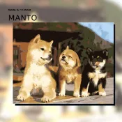 釘好內框🔥Manto【台灣製造】大尺寸數字油畫｜手足之情(4050)成人塗鴉本解壓 行動繪畫套組 大人療癒畫畫