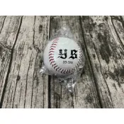 正翰棒壘---YS壘球 真皮壘球 硬式壘球 比賽壘球 聯盟使用球 硬式比賽用球 SB-3000 (單顆)