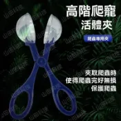 爬蟲餵食活體夾 餵食夾子 夾便器 清潔夾 捕蟲夾 捕捉夾 活餌 飼料 麵包蟲 蜥蜴 守宮 蜘蛛鏟屎爬寵砂沙
