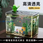聚寶盆萬貨行 【店家補貼】一體成型玻璃無縫魚缸魚缸水族箱網紅一體成型缸家用客廳桌面造景