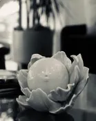 Moonflower by Yoskay Yamamoto 山本源 月亮花 kaws 中村萌