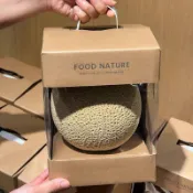 💖 熱賣  💖透明開窗網紋瓜禮盒手提水果包裝盒放一粒蜜瓜柚子牛皮紙打包盒子禮品盒空盒子包裝盒禮物盒打包盒禮盒 紙盒