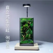 微景觀生態缸 【可掀蓋X松菓先生】空缸 生態流水雨林缸 造景生態瓶 造景缸 苔蘚微景觀 室內盆栽  流水擺件 魚缸造景
