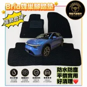 🔥強勢登場 鴻華 Bria 蜂巢腳踏墊 海馬造型 無異味 便宜實用 腳踏墊 後箱墊 鴻華先進 電動車