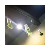 (店+)CHENset 北歐風 創意 倒掛 盆栽 懸掛 天空盆栽 倒立 擺飾 天空花園 倒掛盆栽 交換禮物 🎁