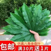 喜挖2店 模擬八角金盤葉子水果店裝飾用品假樹葉葡萄塑膠綠葉水果攤草坪墊