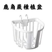 【醬米資材】鹿角蕨種植盆 定植籃 吊掛盆 吊掛盆栽 鹿角蕨花盆 上鹿神器 上板側芽 蕨類植物 鹿角蕨