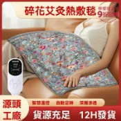 檸檬精選屋 【全身熱敷理療】艾灸毯 電熱毯 艾灸墊 溫灸毯 四季通用 智能控溫 艾草熱敷 家用理療 祛溼驅寒 辦公室居家必備