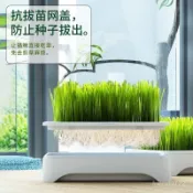 臺灣出貨⚡水培小麥種子貓草卽食盆栽貓咪盒子零食懶人毛球無土自種可食用水培盆育苗盆貓咪盒子無土自種可食用水培盒三層 K5Y
