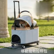 (店+)【Quality 聚家】寵物拉桿箱 寵物外出包 寵物包 便攜可折疊車 推車 加寬加深/透氣網面/推行順滑