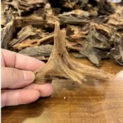 ［水族最便宜］沈木 流木 象牙木 小魚缸沈木-6～15cm隨機出貨