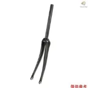 OUTSYD 全碳纖維公路車前叉