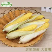 滿299出貨 假水果模型 假水果 仿真水果 假蔬果 假蔬菜 高仿真玉米帶皮玉米塑料塑膠假玉米模型攝影視櫥窗擺設早教道玩具