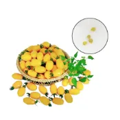 (店+)【蔬菜之家】G28-1.金玉黃果小番茄種子4顆果實長橢圓形，果色金黃，果肉厚，肉質細緻