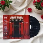 〈快速出貨〉政板唱歐若拉AURORA-TheGodsWeCanTouch實體專輯CD