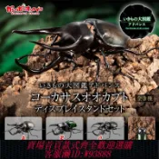 愛尚購物 {可刷卡 打統編}[現貨] 萬代扭蛋 生物大圖鑒 南洋大兜蟲 甲殼蟲昆蟲擺件可動