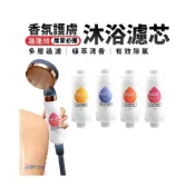 (店+)蘋果小舖 香氛蓮蓬頭濾芯 芳香濾芯 香氛過濾器 除氯濾芯 香氛濾芯 淋浴過濾 蓮蓬頭濾芯 沐浴過濾器 香氛沐浴