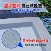 阿嫲的百寶屋 屋頂防水塗料補漏材料樓房頂外墻瀝青堵漏膠水水性聚氨酯防水材料{鑫弘-工葉電器}可開發票