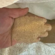［水族最便宜］珊瑚砂 海灘砂 貝殼砂 菲律賓砂 魚缸底砂 細砂 貝殼砂 魚缸造景 海水 底砂 園藝  螃蟹 寄居蟹