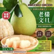 【林家麻豆文旦城】特選台南麻豆老欉文旦x1箱 (5台斤/ 約5-6顆)