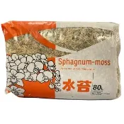 【小美紀】1公斤-水苔-10Y(水苔 蕨類 水培植物 水草 介質 鹿角蕨種植 蘭花盆栽 植物 甲蟲 獨角仙)