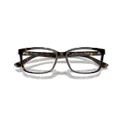 【RayBan 雷朋】RX5319D光學鏡框 長方膠框眼鏡(玳瑁色2012)