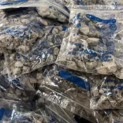（特賣）現貨供貨 華記 甘宋梅 鴛鴦雙喜甘宋梅 辦公室團購 蜜餞 美食