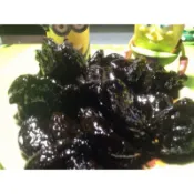 藍爸零嘴＊化應子（夾番茄專用）＊150公克只要傳統古早味零嘴食品巧克力餅乾蜜餞糖果QQ軟糖自有實體賣場現貨供應