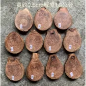 台灣櫸(紅雞油)原木年輪木片/文創材料/隔熱墊/藝品盆景陶藝擺設底座/置物墊／木質墊片/佈置裝潢材料