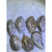 珊瑚玉墜子、珊瑚菊花玉、全玉化、隨墜子附贈純銀夾頭、獨一無二、保證天然品絕對不會碰到第二個