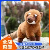 南美浣熊毛絨玩桔仿真浣熊公仔布娃娃兒童安撫陪睡玩偶動物園禮品