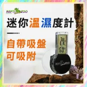 ★爬蟲新樂園★[台灣現貨]REPTI ZOO瑞皮高質感吸盤式爬蟲溫濕度計迷你溫濕度計半透明數顯 探測準 感應快 三向吸附