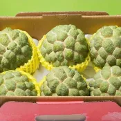 大目釋迦 6粒 手提禮盒裝