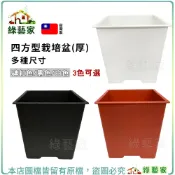 【綠藝家】四方型栽培盆(厚)2吋 3吋 4吋 5.5吋(黑色.磚紅色.白色)方盆 透氣盆 多肉盆 多肉花盆 盆栽 觀葉盆