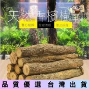 【爬蟲用品】【高品質】爬寵攀爬木裝飾爬蟲枯木飼養曬台樹枝支架杜鵑根休息藤條木樁造景 蜥蜴角蛙守宮輻射飼養箱爬蟲用品寵物用