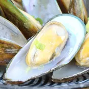 南海豐【紐西蘭鮮甜淡菜】500g/包 海上先生稱讚的孔雀蛤，頂尖真空熟凍技術鎖住鮮甜湯汁，美味海鮮宅配