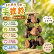 天然植物果殼手搖鈴 種子果實溪水音療風鈴 手作樂器禮物 自然療癒聲響