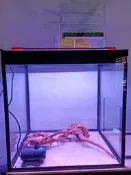 12號-水族器材~~2尺套缸系列搭配器材更優惠(自取)中壢平鎮免費運送~~請詳看商品描述