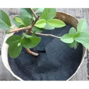 (不織布)抑草蓋 8寸 2元 3吋~2尺 規格 防草布、抑草墊、除草、抑制 雜草、抑草蓆 抑草布