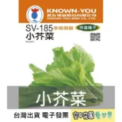 【台灣出貨 電子發票】小芥菜 種子 12g 菜籽 種菜 水耕 原包裝 農友 空中花園藝世界 特選種子 SV-185